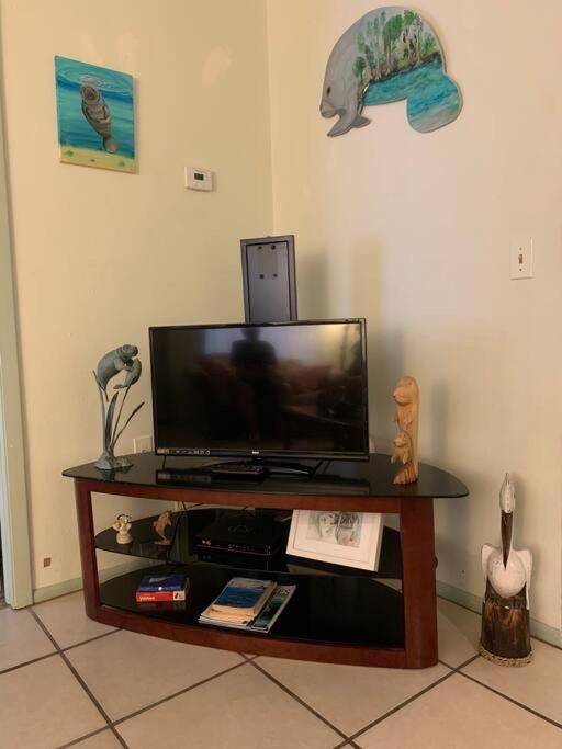 Apartment Professor Rousseau's Manatee Bay Crystal River