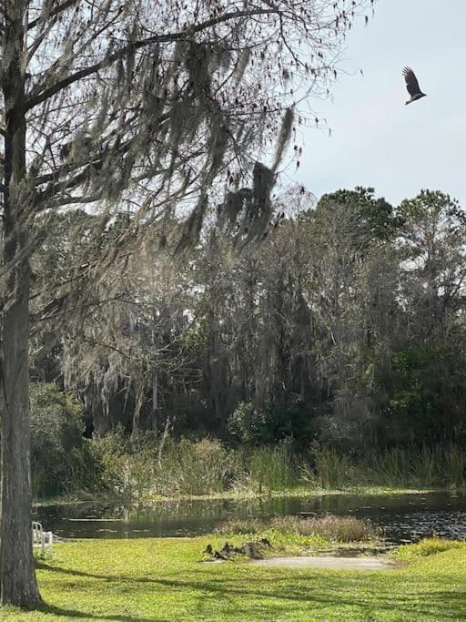 Apartment Professor Rousseau's Manatee Bay Crystal River